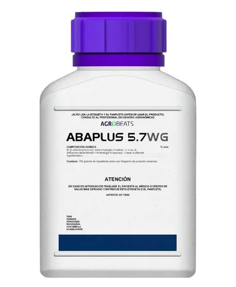 ABAPLUS 5.7 WG